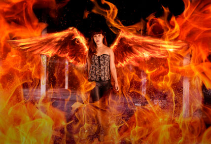 Ave fenix