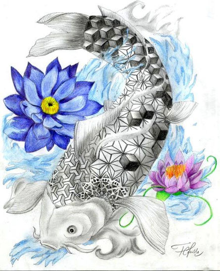 Pez Koi Graphite