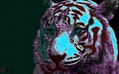 OSOTIGRE