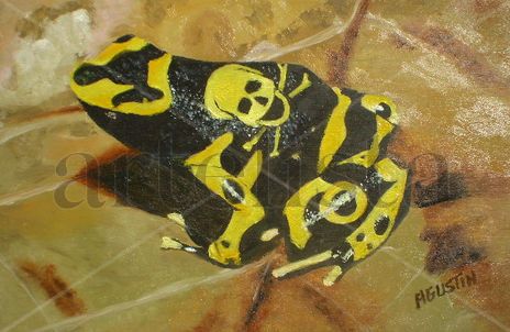 Rana calavera