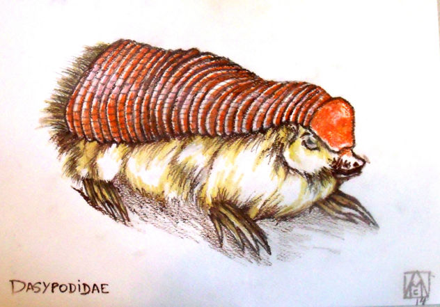 Armadillo de las pampas (Chlamyphorus truncatus)