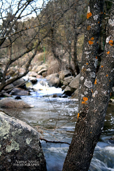 el rio Naturaleza Color (Digital)