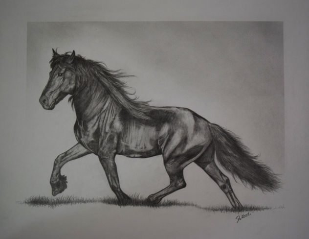 caballo