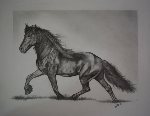 caballo Pencil