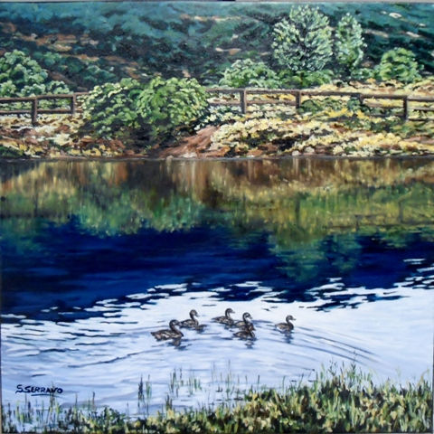 EMBALSE DE PINILLA, VALLE DEL LOZOYA Oil Canvas Landscaping