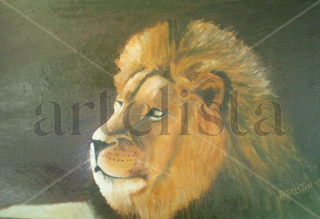 el leon Oil Canvas Animals