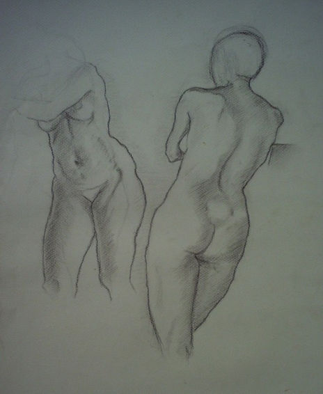 Desnudos Femeninos...