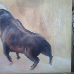 Galerias Moncayo thumbnail 2