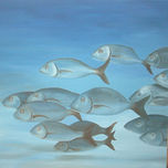 Peces thumbnail 1
