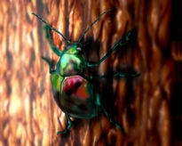 Insecto en Layer