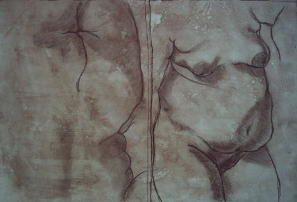 Desnudos Femeninos...
