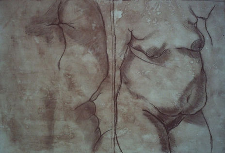 Desnudos Femeninos...
