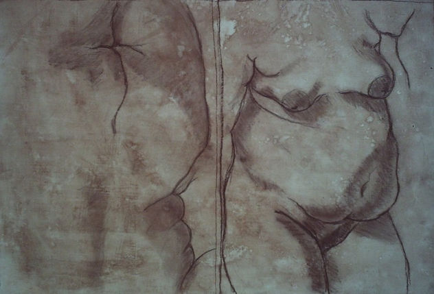 Desnudos Femeninos Espalda y Frente
