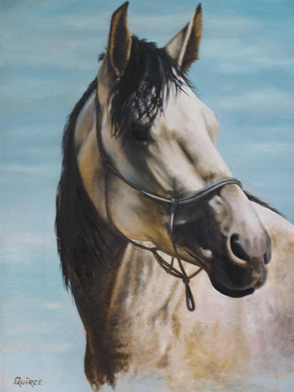 caballo Oil Canvas Animals