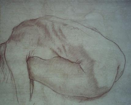 Desnudo Femenino...
