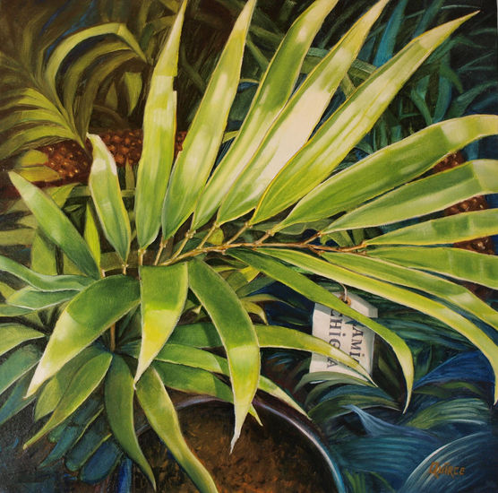 Zamia Chigua Oil Canvas Others