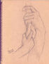 Estudio de la Mano.