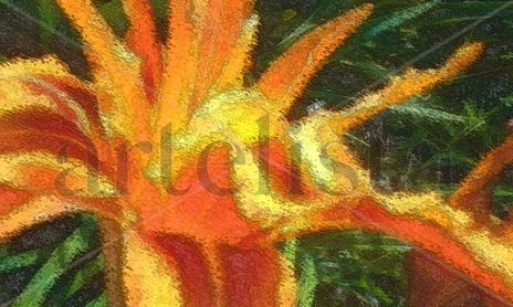 flor sol