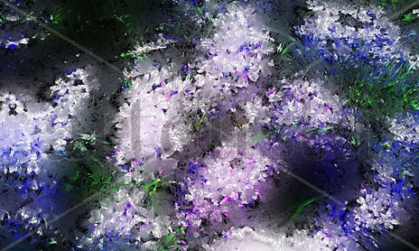 Flores luz