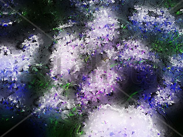 Flores luz