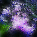 Flores luz thumbnail 1