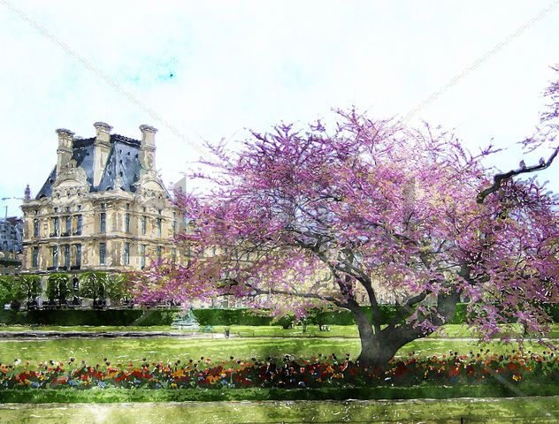 Árbol rosa
