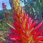 Flores de sabila thumbnail 1
