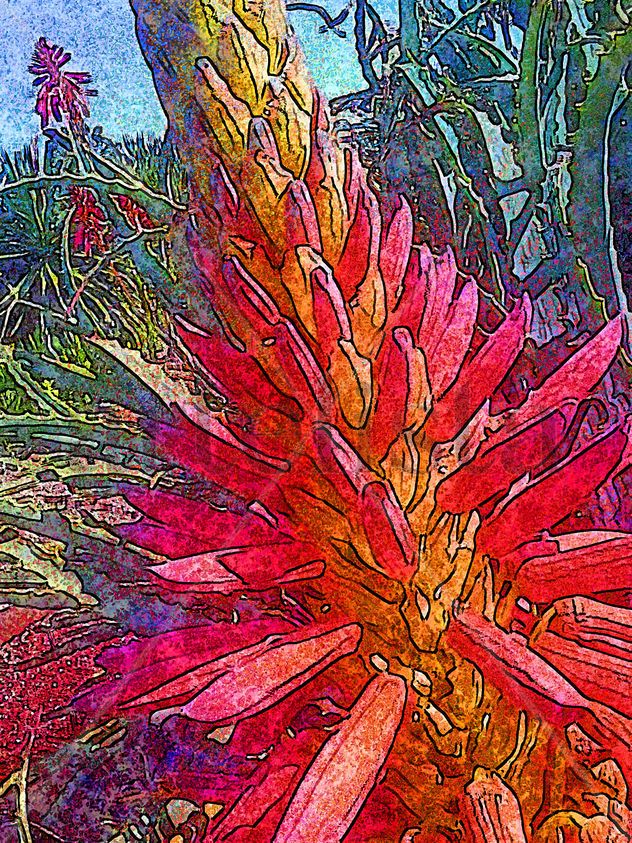 Sabila en flor 2
