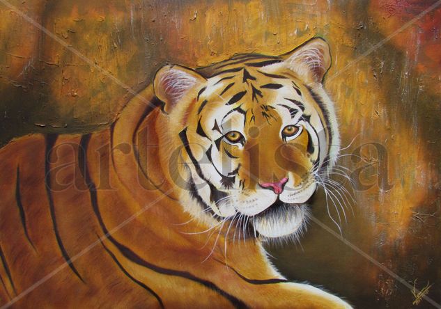 Tigre Oil Canvas Animals