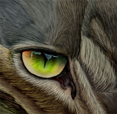 OJO, en un solo Layer