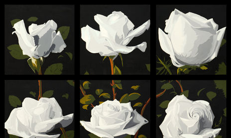Rosas