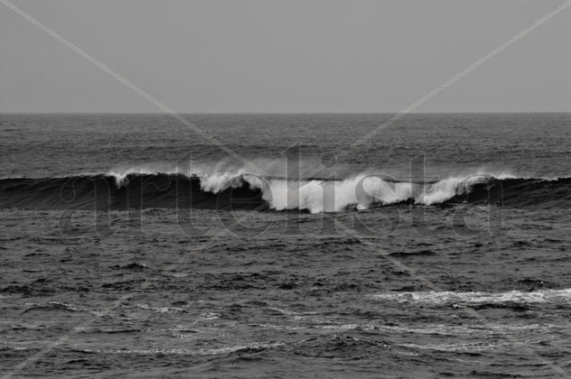 Océano Atlántico 13