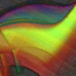 Circulantes thumbnail 2