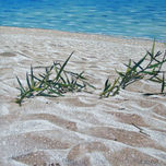 Playas thumbnail 2