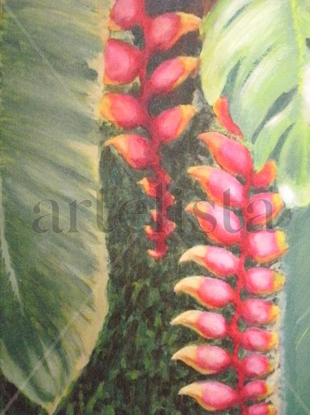Bananeira de Jardim
