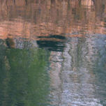 ASEO MUNICIPAL thumbnail 1