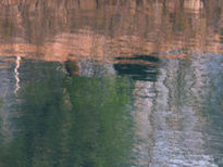 Puente en el agua