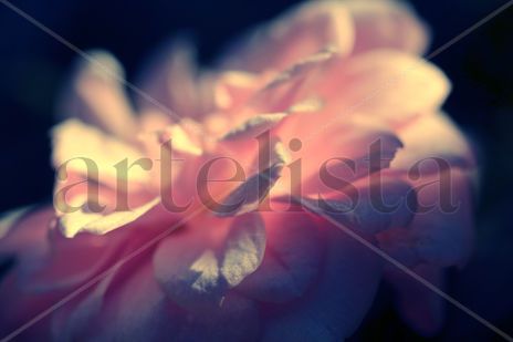 Suave | Soft