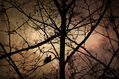 Solo, pero sin sentirme solitario | Alone, but not feeling lonely