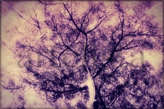 El Arbol Púrpura | The Purple Tree Nature Color (Digital)