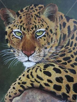 Linda Pantera Acrylic Canvas Animals