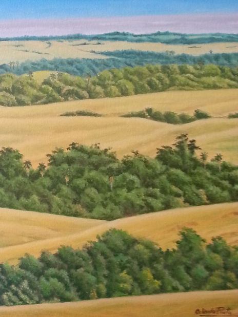 Llanos colombianos