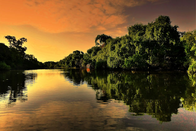 Berisso, Argentina Naturaleza Color (Digital)