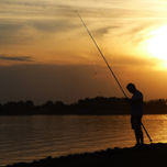 FOTOS thumbnail 2