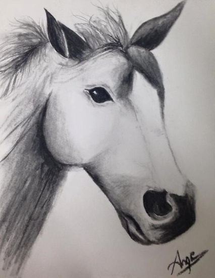 Caballo Charcoal