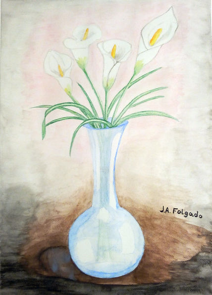 Flor del Jarro