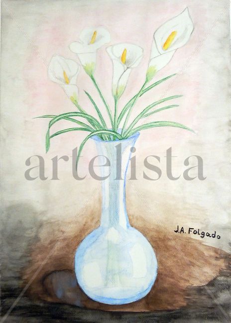 Flor del Jarro