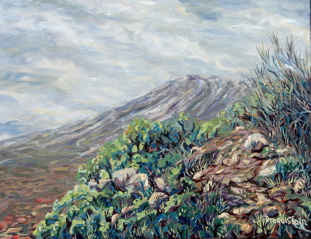 Invierno en las Cañadas de El Teide Oil Canvas Landscaping