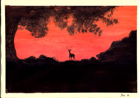 Atardecer salvaje