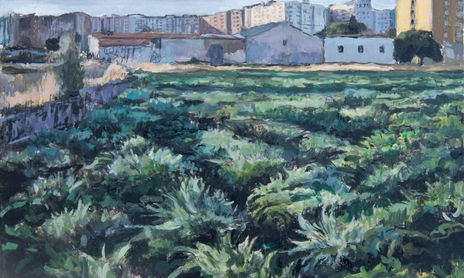 Paisajes